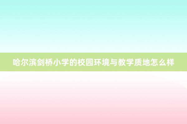哈尔滨剑桥小学的校园环境与教学质地怎么样