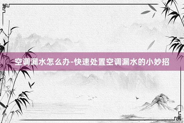 空调漏水怎么办-快速处置空调漏水的小妙招