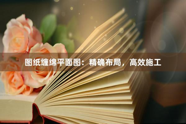 图纸缠绵平面图：精确布局，高效施工