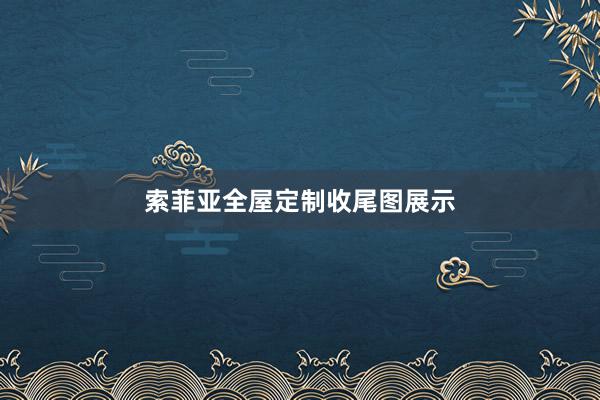 索菲亚全屋定制收尾图展示