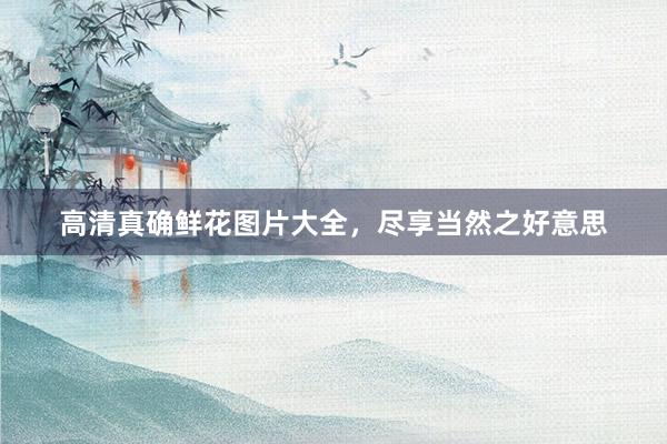 高清真确鲜花图片大全，尽享当然之好意思