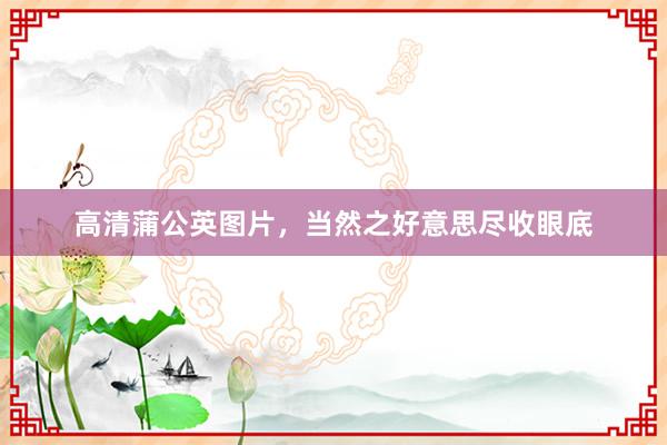 高清蒲公英图片，当然之好意思尽收眼底